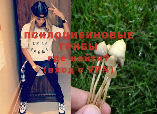 амф Новодвинск
