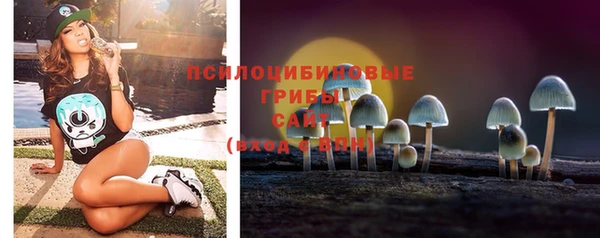 мяу мяу мука Новокубанск