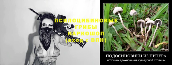 мяу мяу мука Новокубанск