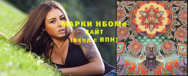 амф Новодвинск