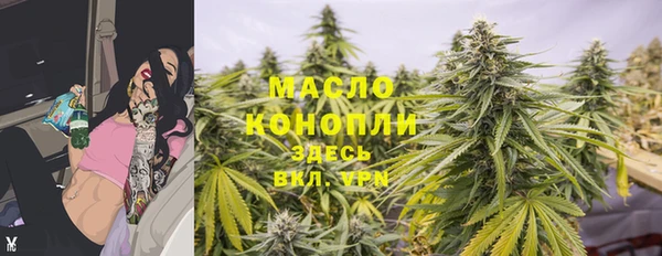 амф Новодвинск
