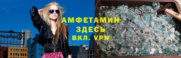 амф Новодвинск