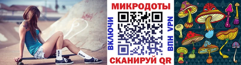 Псилоцибиновые грибы Psilocybine cubensis  что такое наркотик  Полесск 